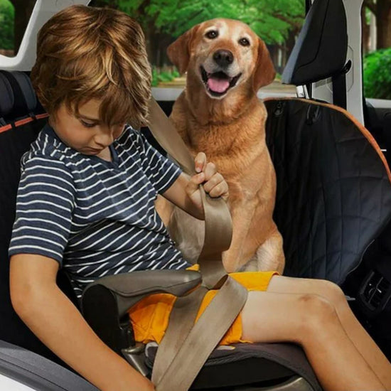 CaniConfort™ - Housse Idéale de Siège Auto pour Chiens